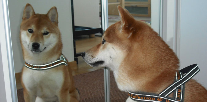 Duplicate content can be beautiful, yet still troublesome